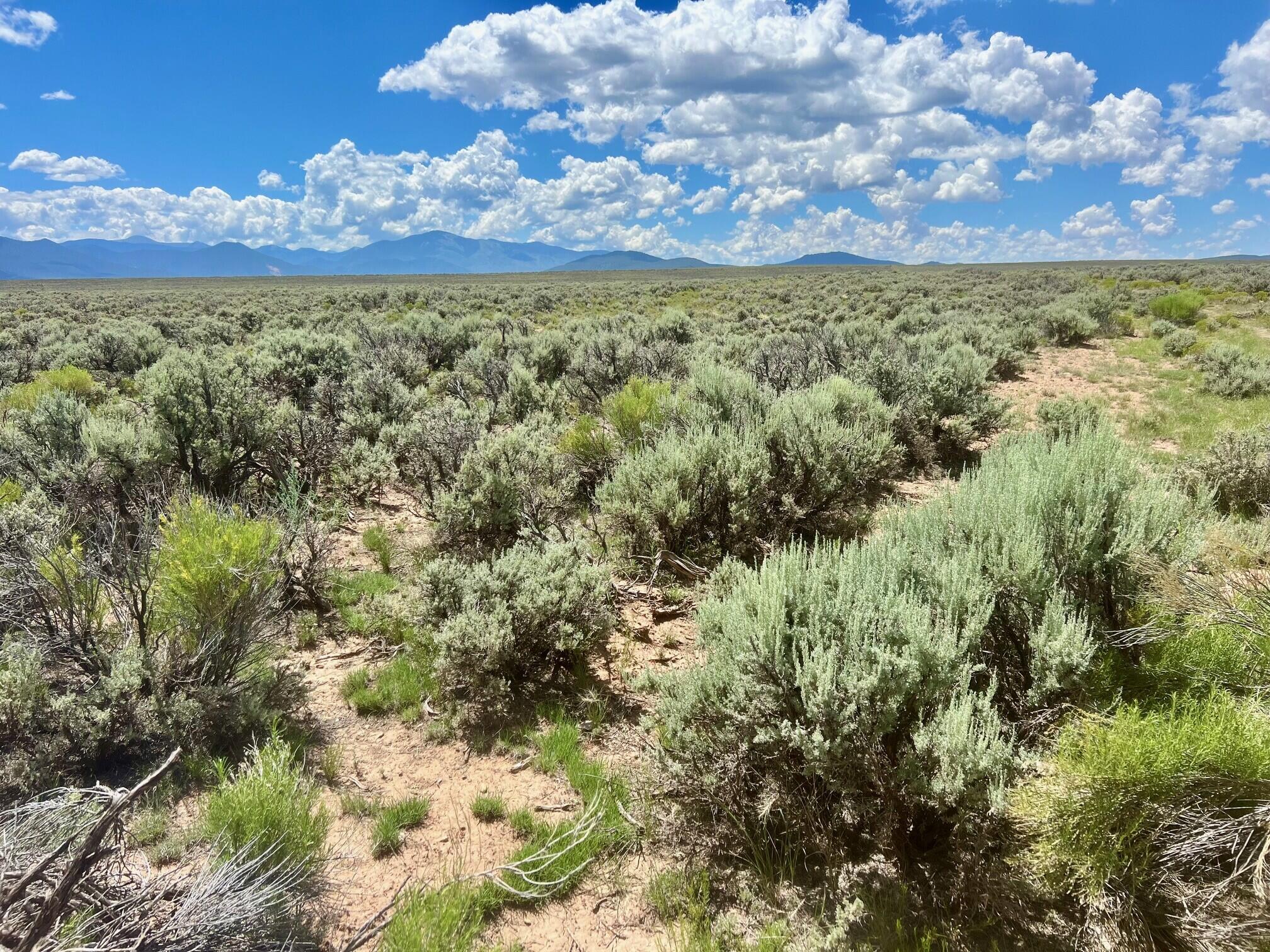 Homes for sale in Questa, NM | Sunshine Valley Upc 1070177069 Rd, Questa, NM 87556 | MLS# 1102995
