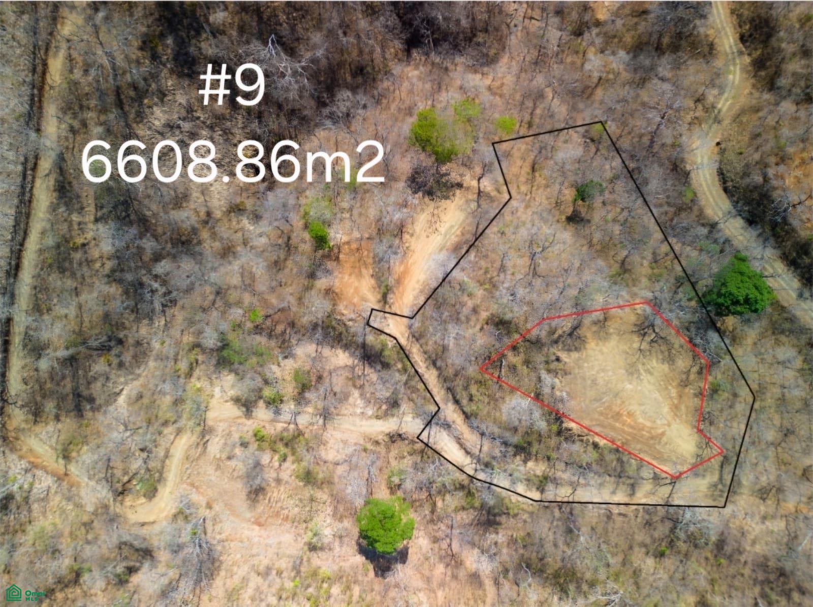  bed Land For Sale in Santa Cruz, Guanacaste - 1