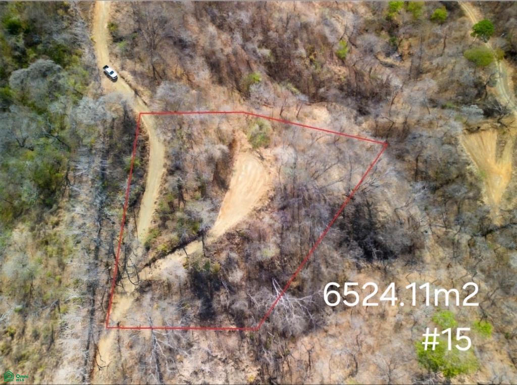  bed Land For Sale in Santa Cruz, Guanacaste - 1
