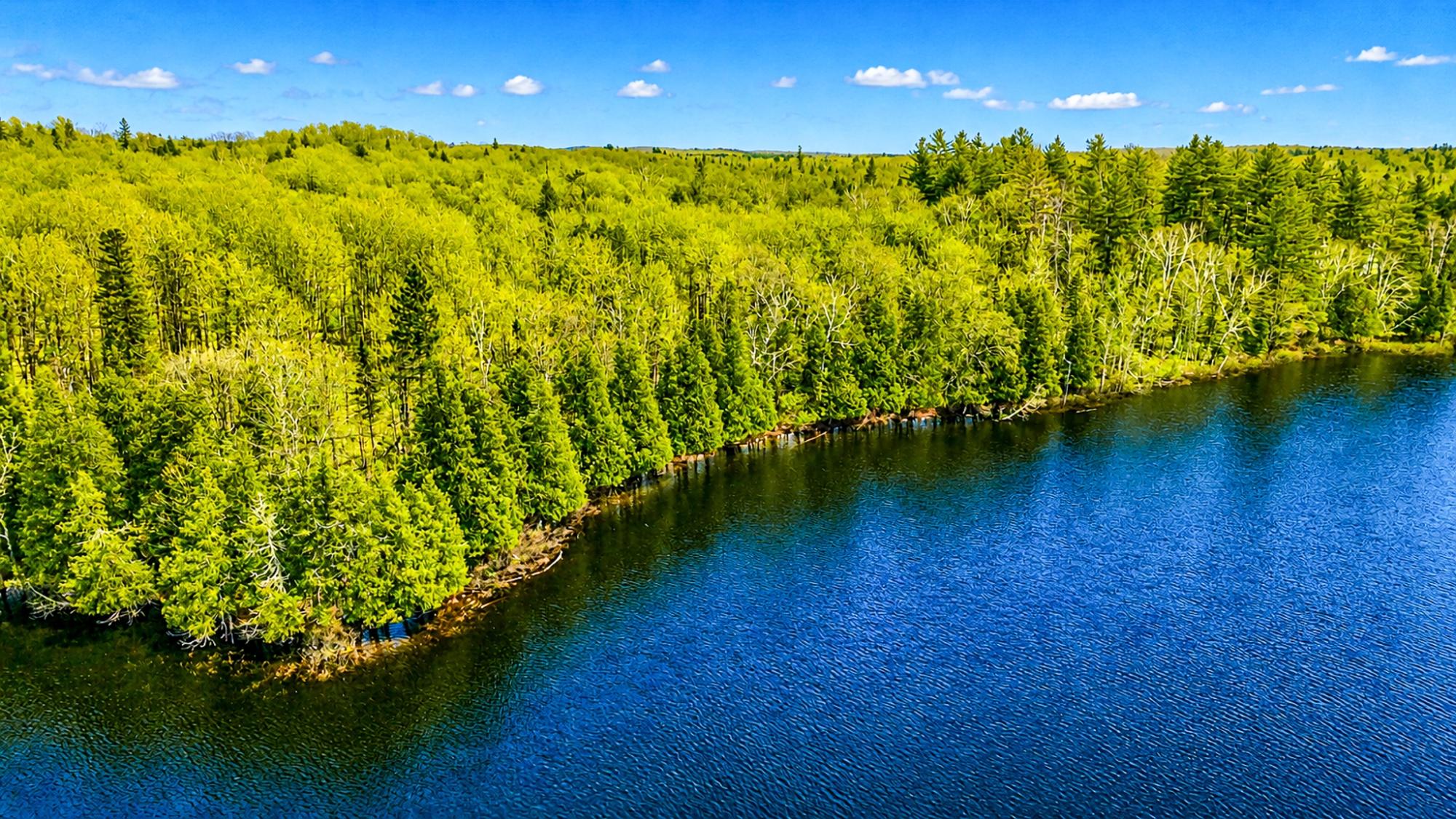 Long Lake MC Property 2086 Collins Rd Photo 5
