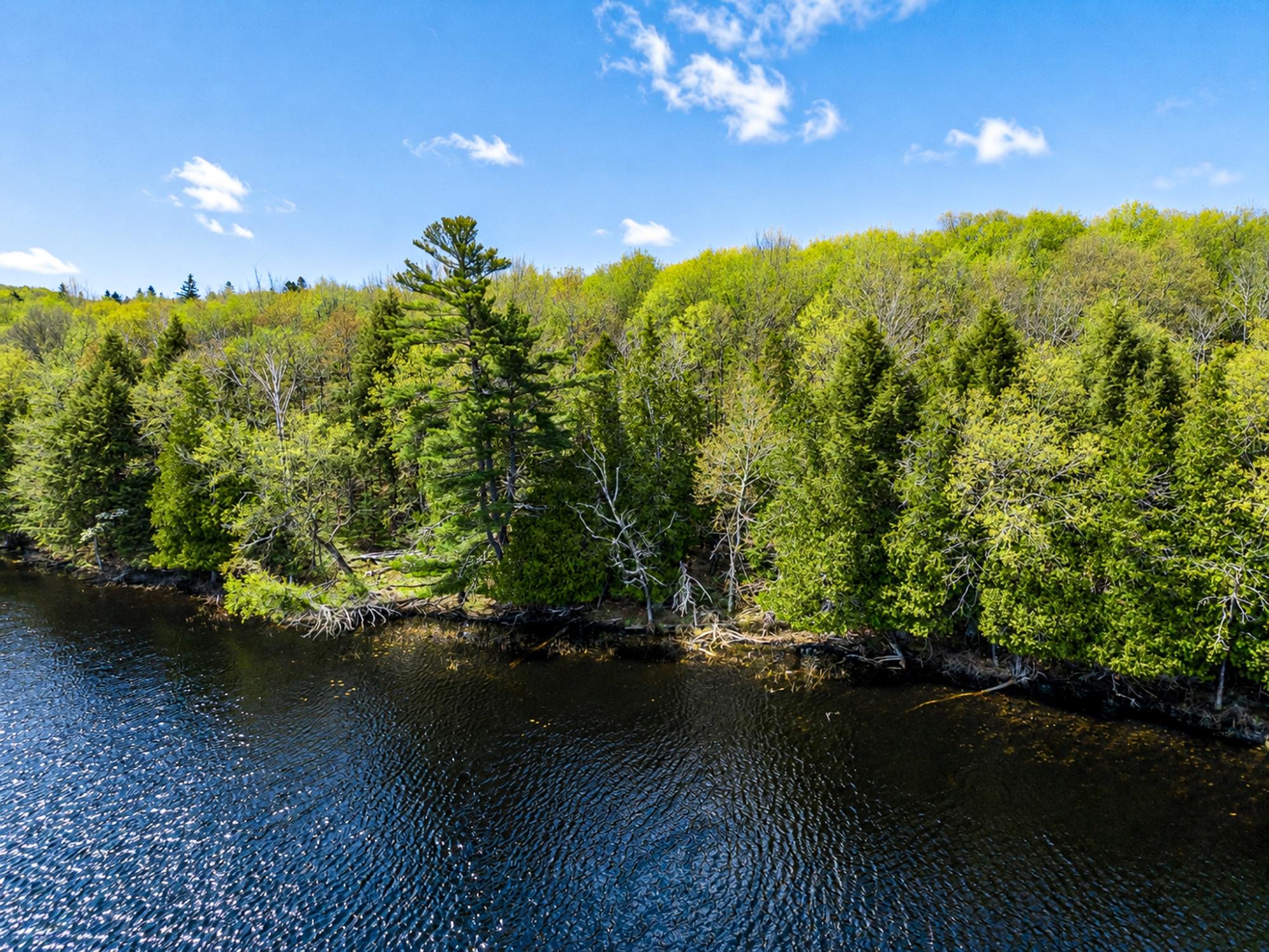 Long Lake MC Property 2086 Collins Rd Photo 51