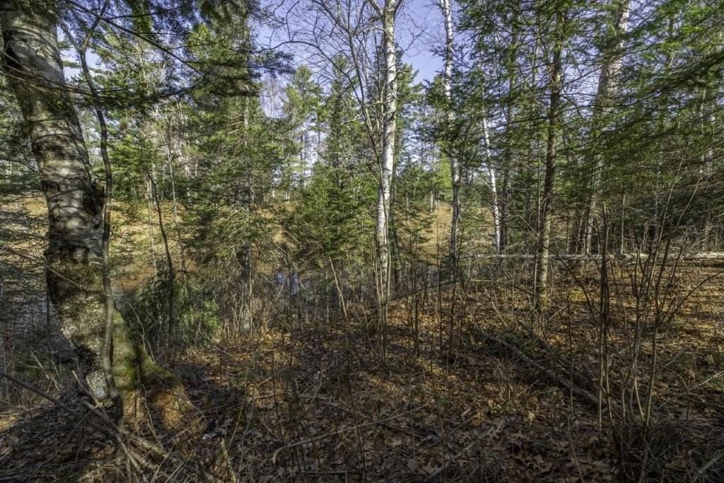 River Property Property Lot 9 Cth H Photo 10