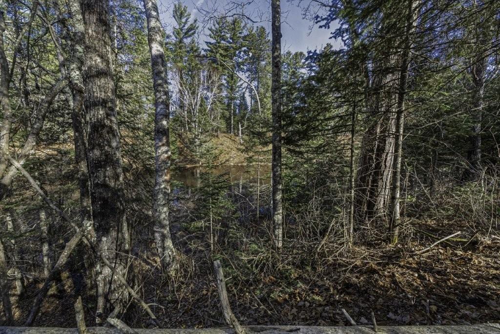 River Property Property Lot 9 Cth H Photo 11
