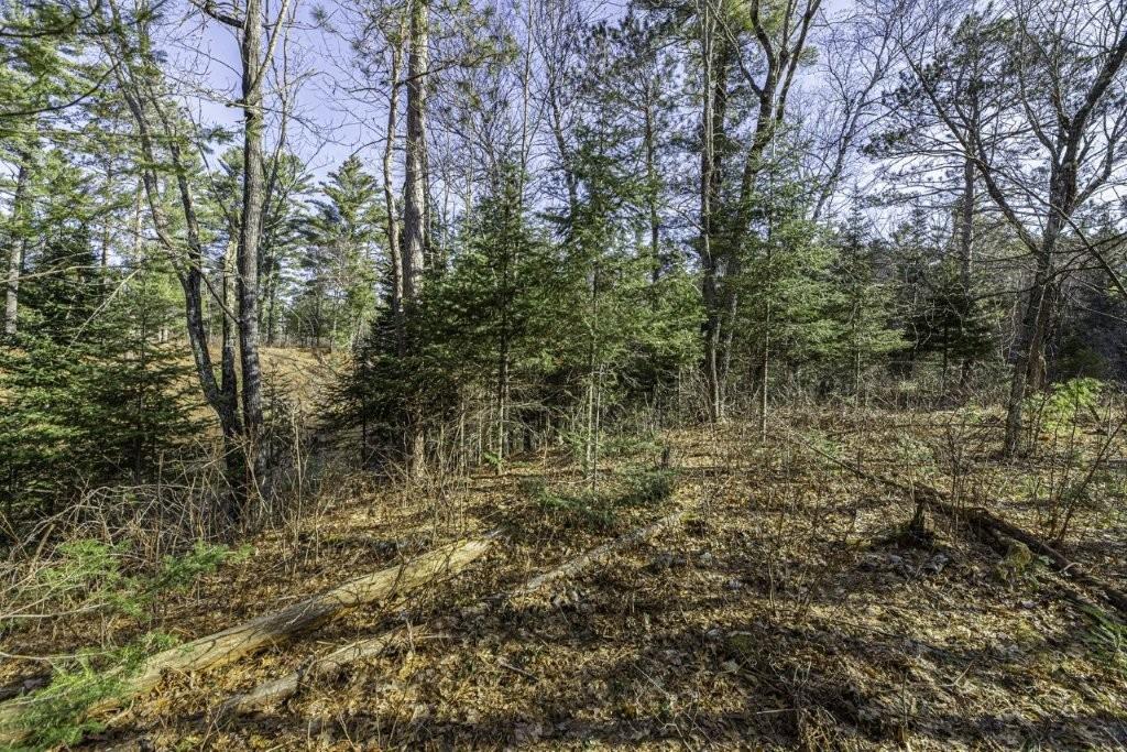 River Property Property Lot 9 Cth H Photo 12