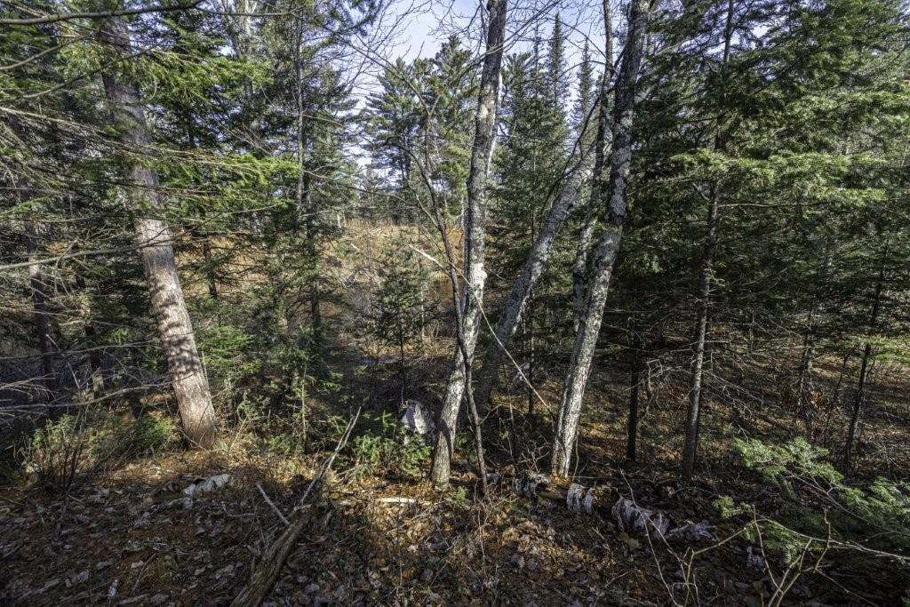 River Property Property Lot 9 Cth H Photo 13