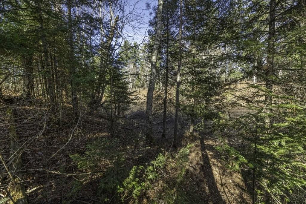 River Property Property Lot 9 Cth H Photo 14