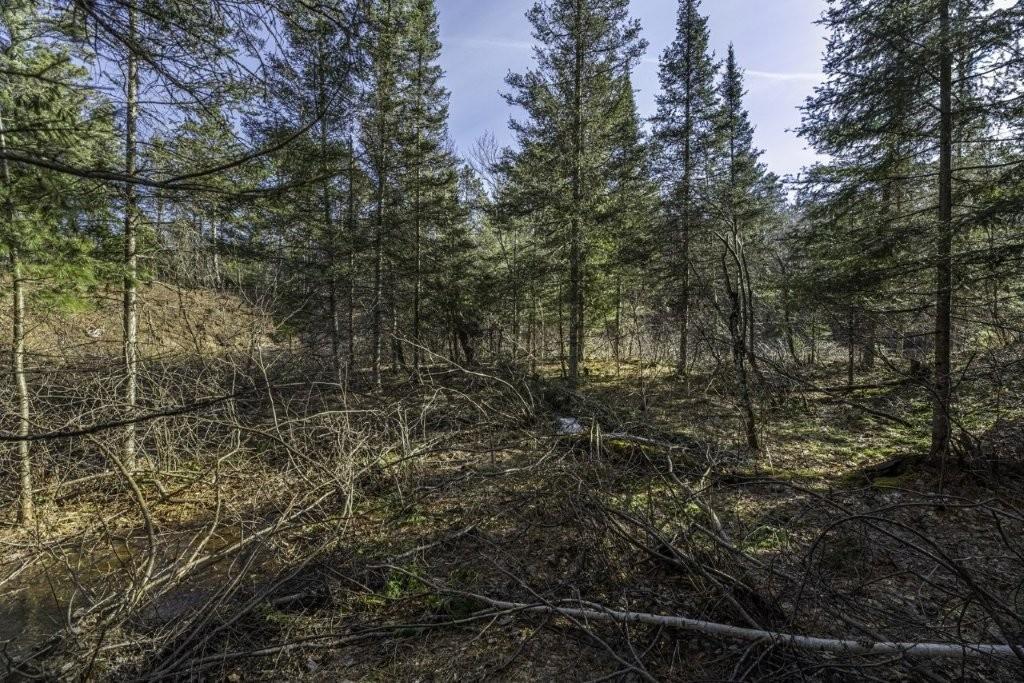 River Property Property Lot 9 Cth H Photo 15
