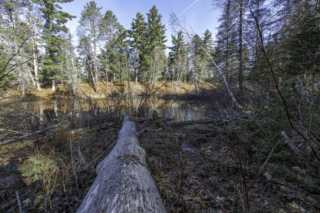 River Property Property Lot 9 Cth H Photo 3