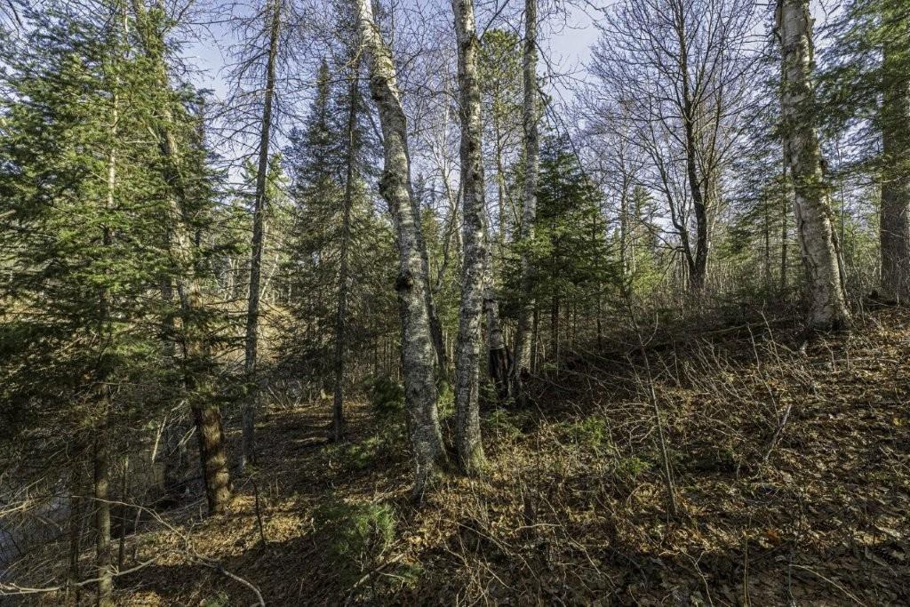 River Property Property Lot 9 Cth H Photo 5
