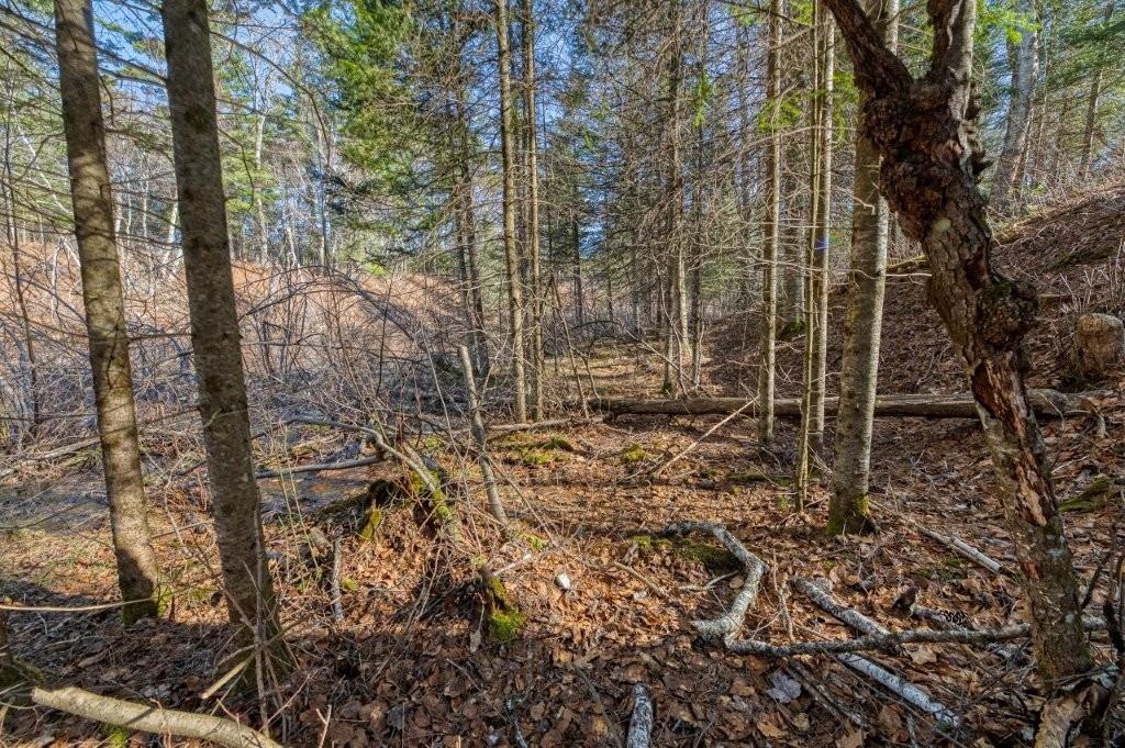 River Property Property Lot 9 Cth H Photo 6