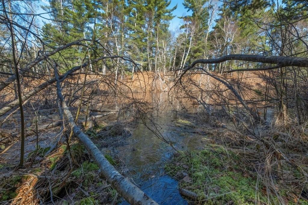 River Property Property Lot 9 Cth H Photo 7