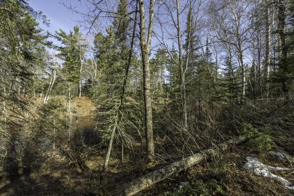 River Property Property Lot 9 Cth H Photo 8
