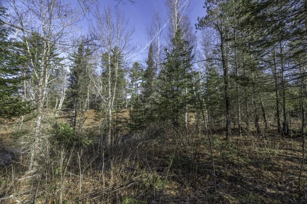 River Property Property Lot 9 Cth H Photo 9