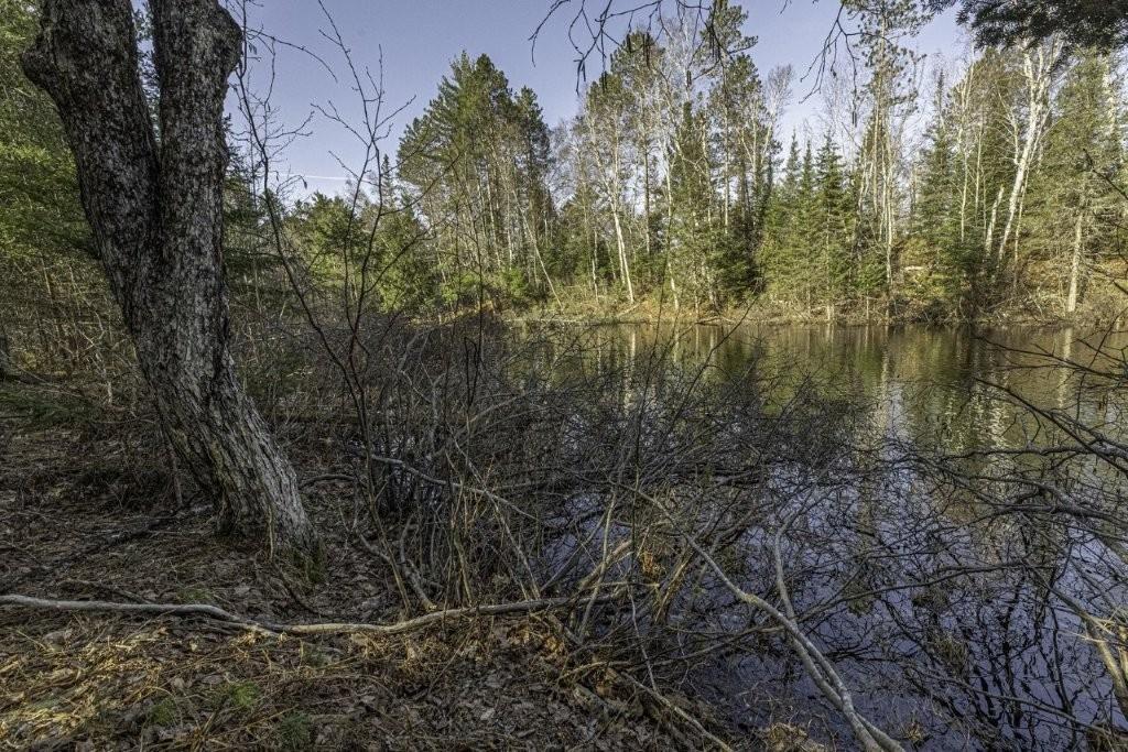 River Property Property Lot # 8 Cth H Photo 10