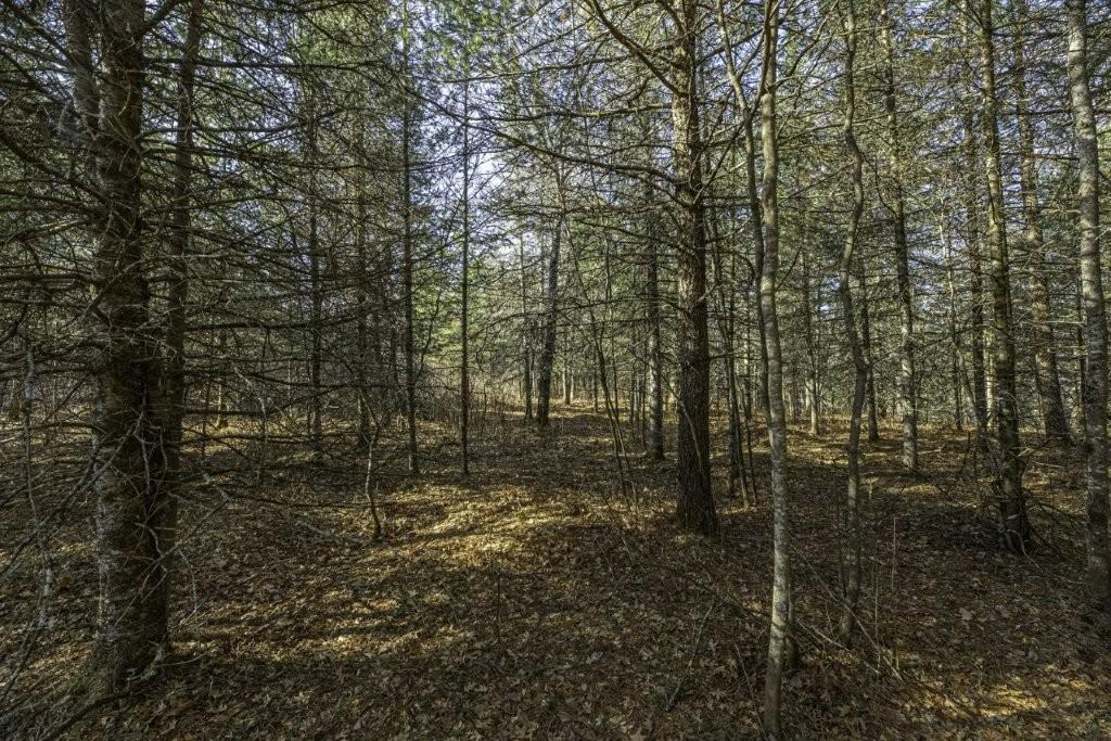 River Property Property Lot # 8 Cth H Photo 3