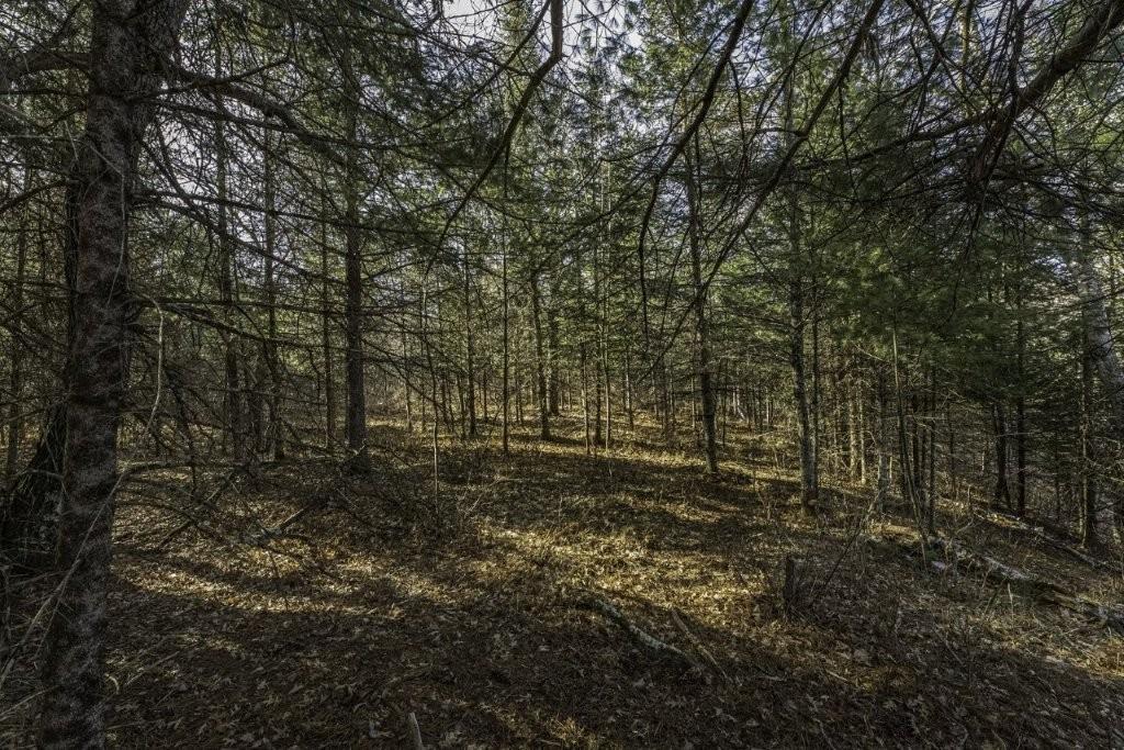 River Property Property Lot # 8 Cth H Photo 7