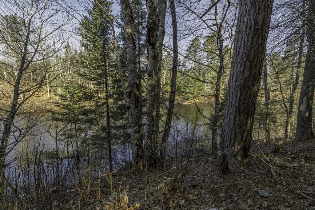 River Property Property Lot # 8 Cth H Photo 8