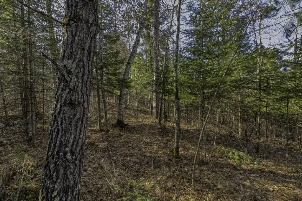 River Property Property Lot # 8 Cth H Photo 9