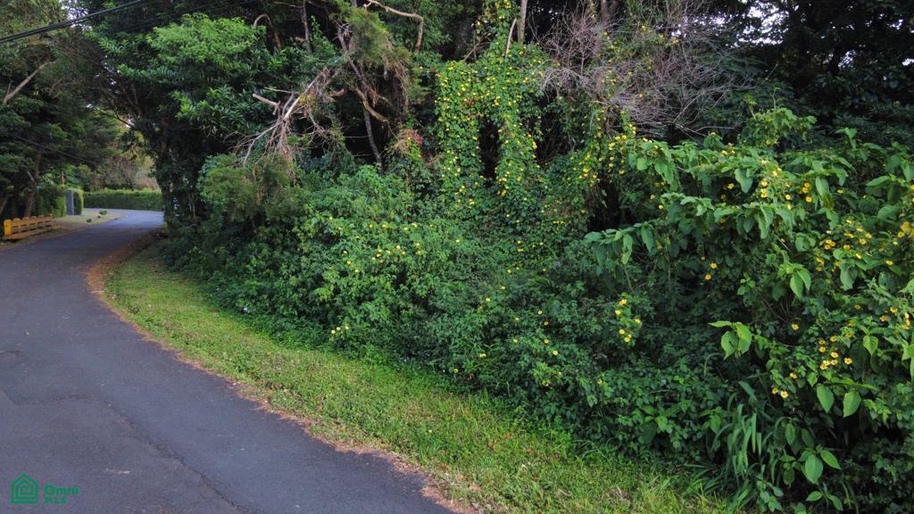  bed Land For Sale in San Rafael, Heredia - 1
