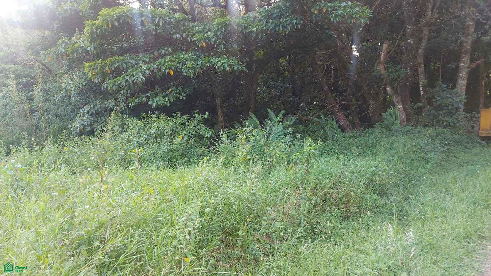  bed Land For Sale in San Rafael, Heredia - 1