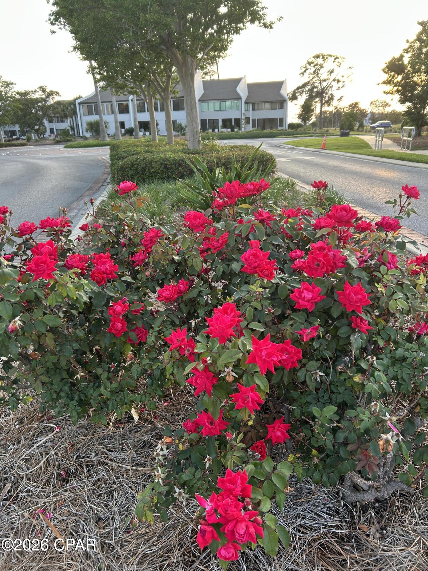 Image 27 For 4725 Bay Point Road 269