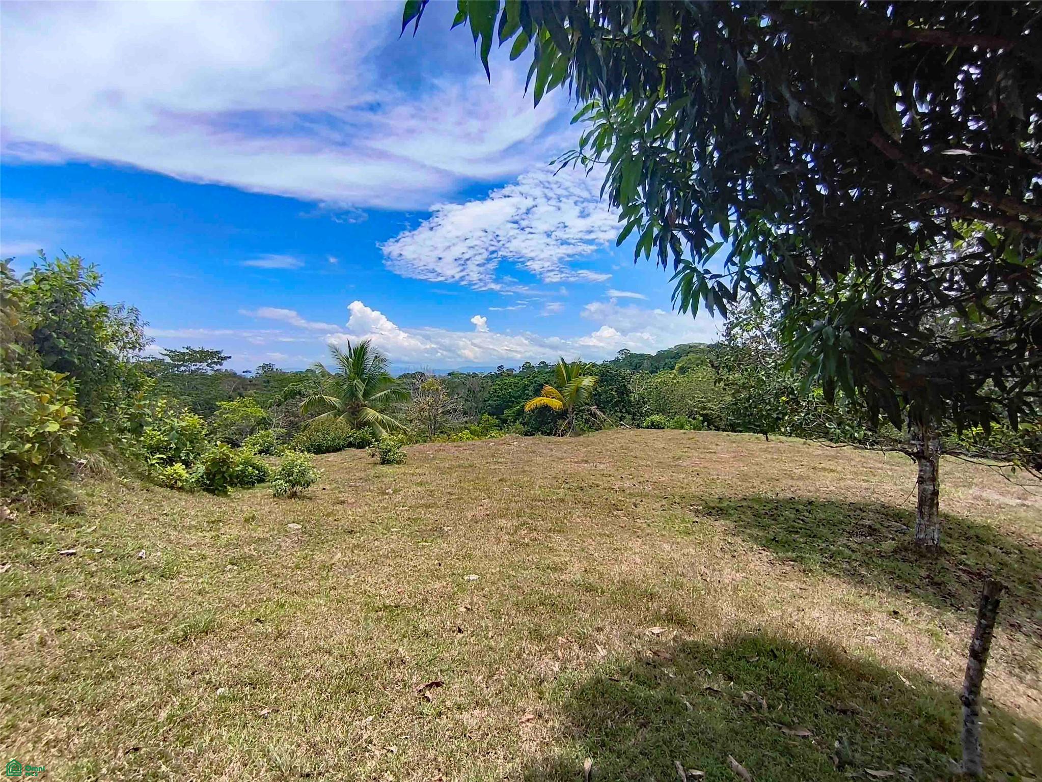  bed Land For Sale in Golfito, Puntarenas - 1