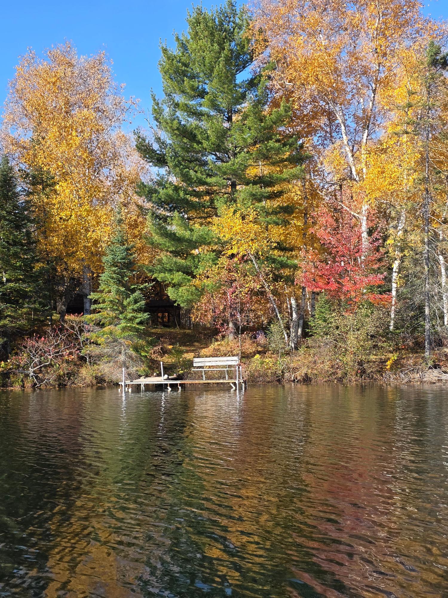 Big Hurst Lake Property 12020 Crab Lake Rd S Photo 3