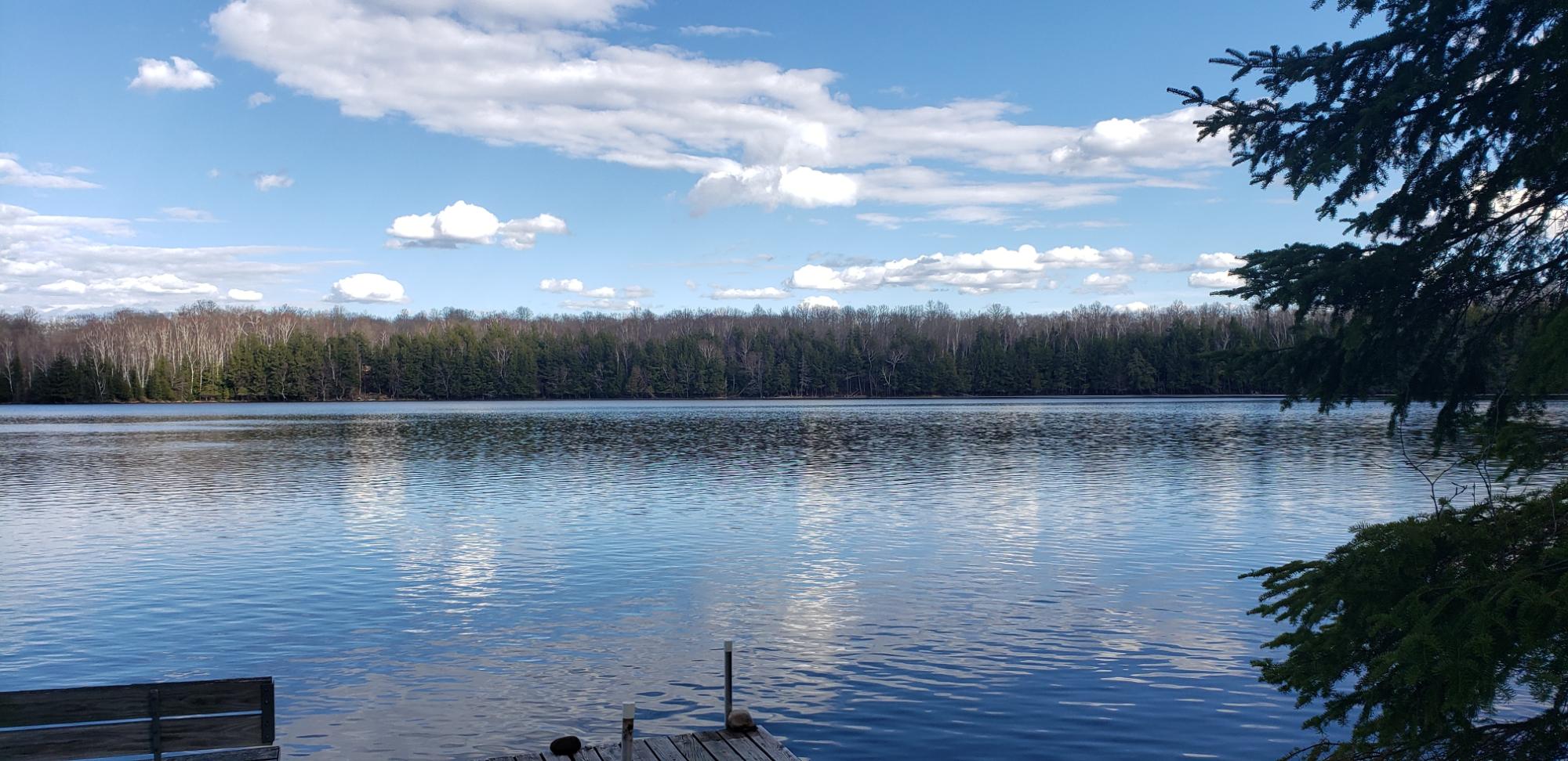 Big Hurst Lake Property 12020 Crab Lake Rd S Photo 40