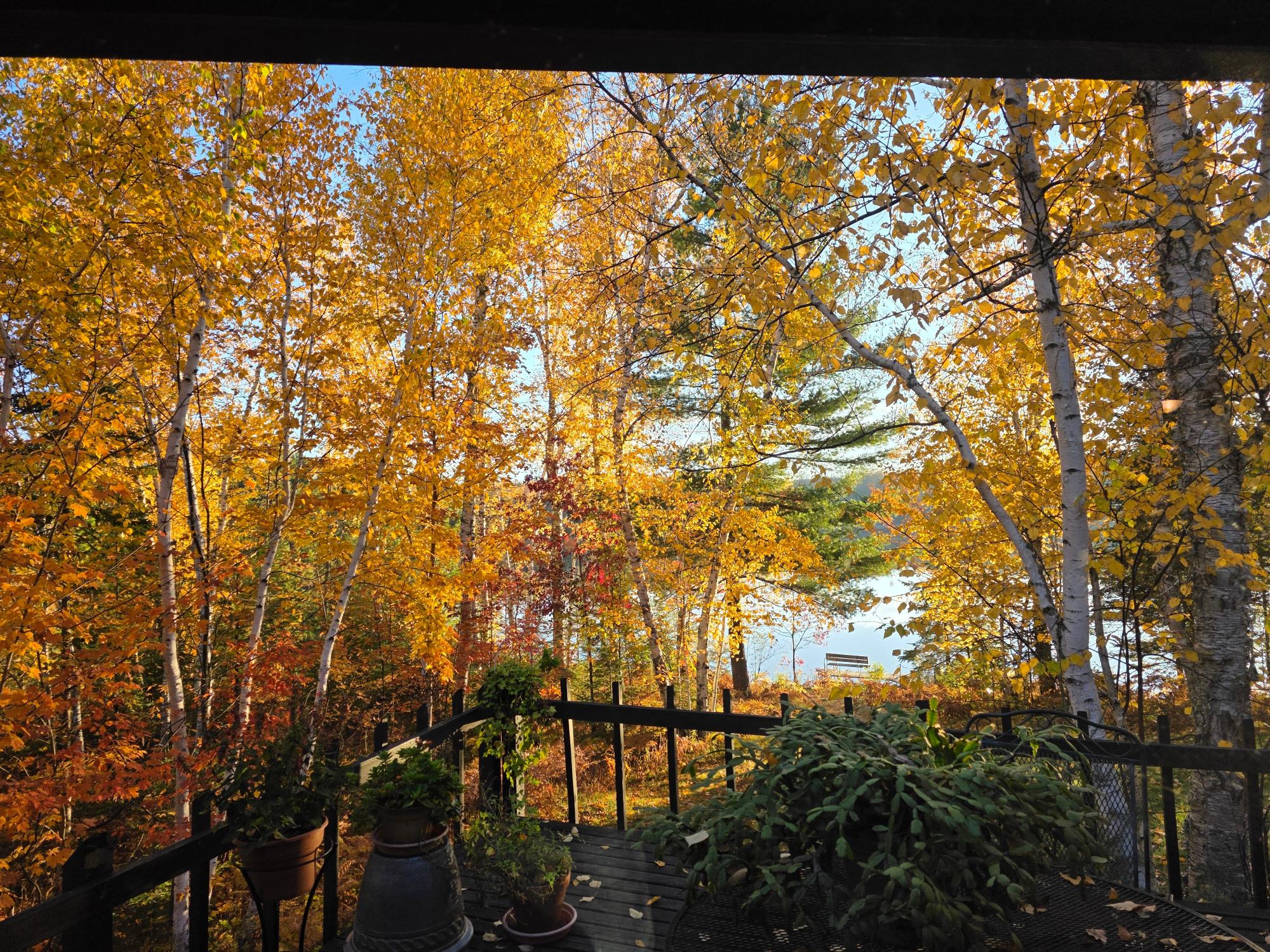 Big Hurst Lake Property 12020 Crab Lake Rd S Photo 41