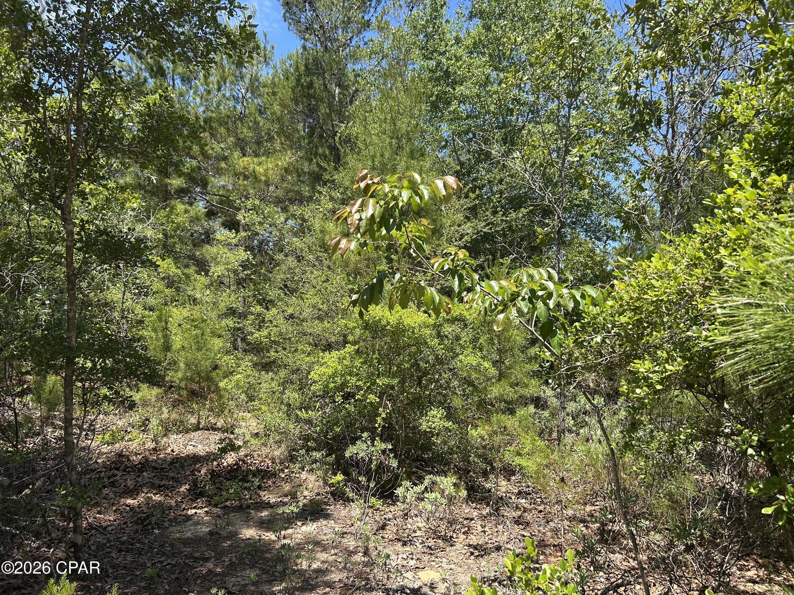 Image 5 For 0 Bonnett Pond Road