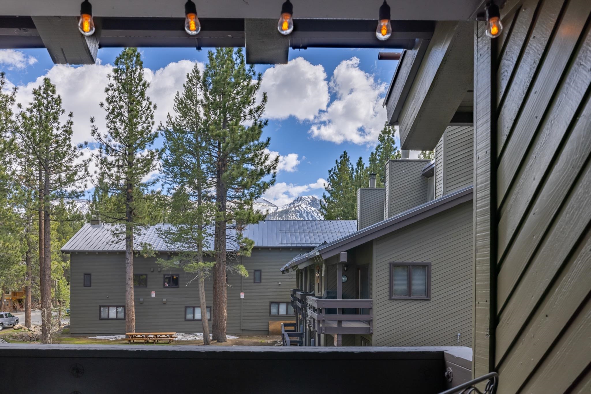 484 Manzanita Road 16