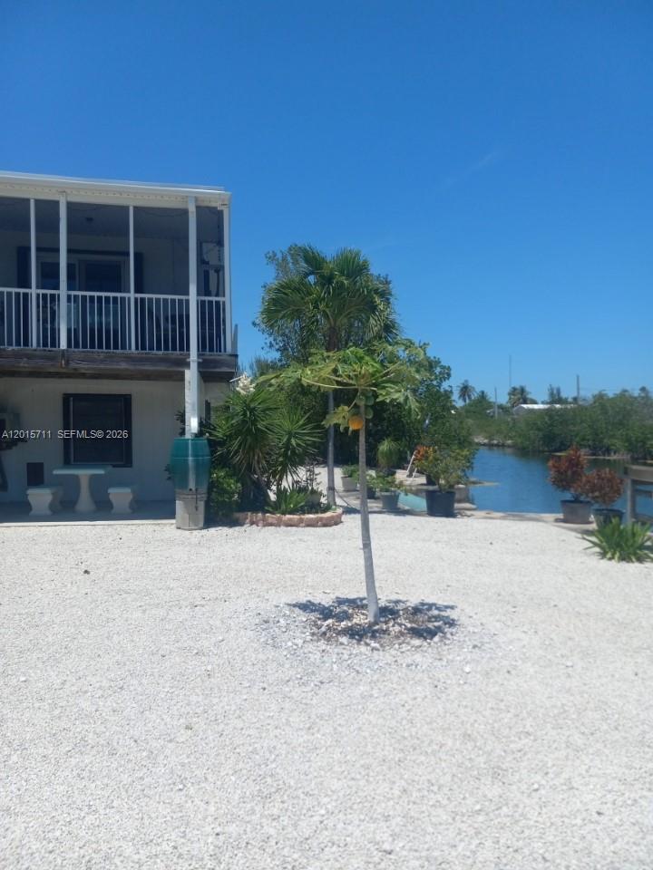 Cahill Pines And Palms