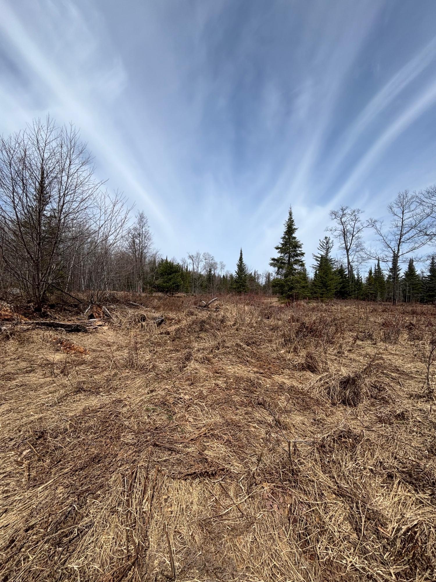 Joyce Lake Property off Cth S Photo 11
