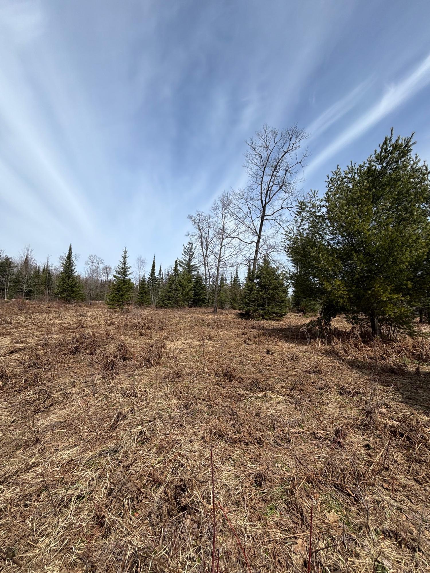Joyce Lake Property off Cth S Photo 13