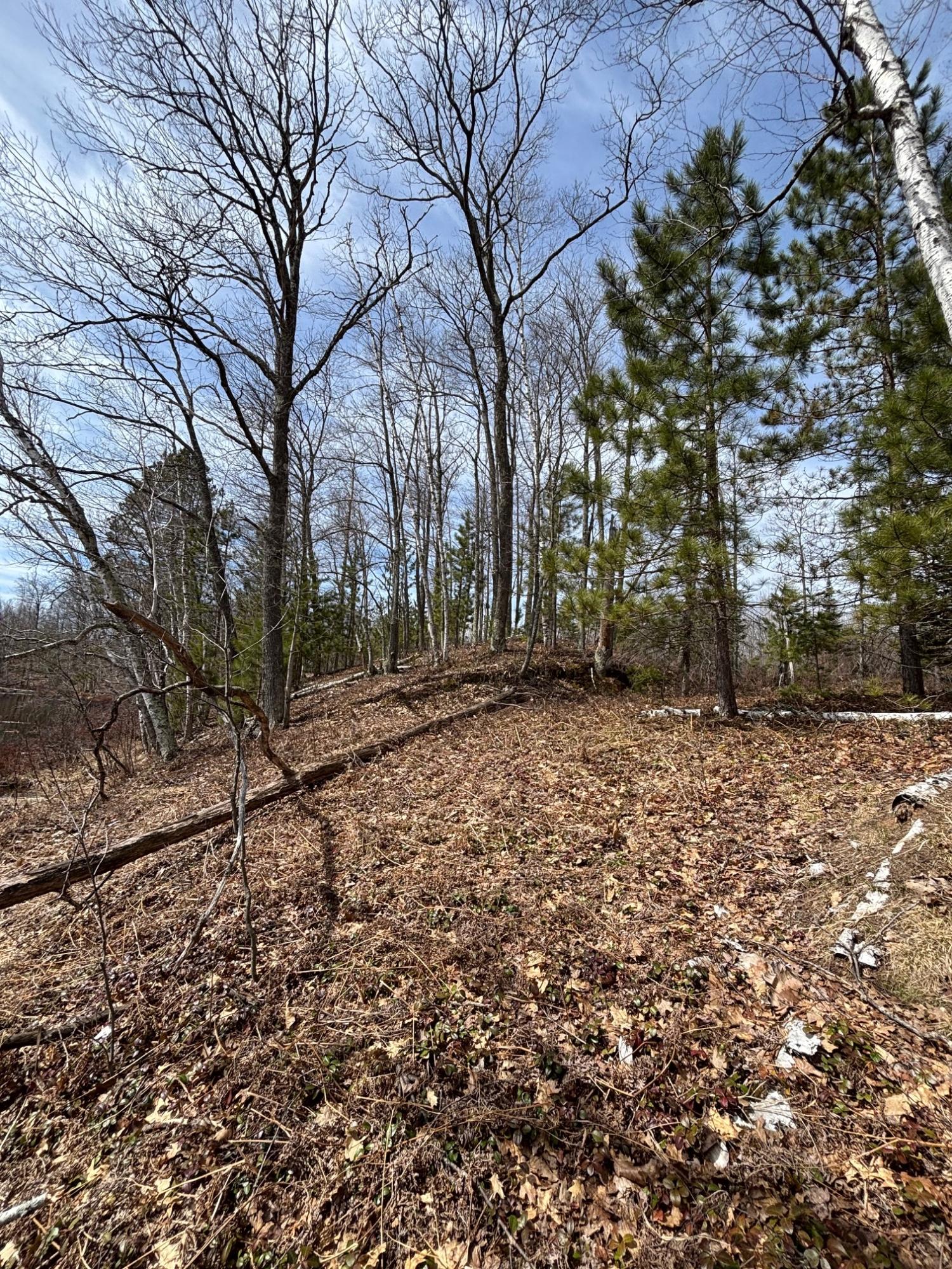 Joyce Lake Property off Cth S Photo 4