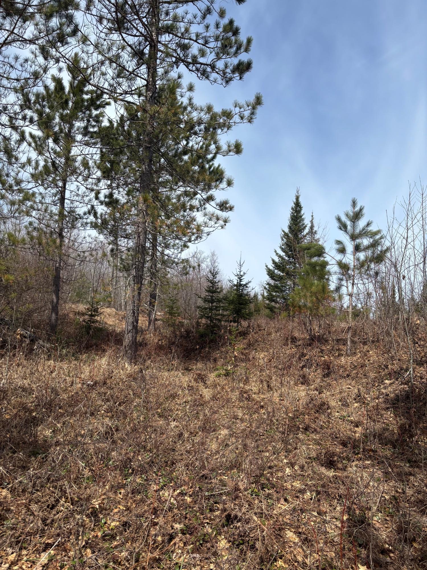 Joyce Lake Property off Cth S Photo 9