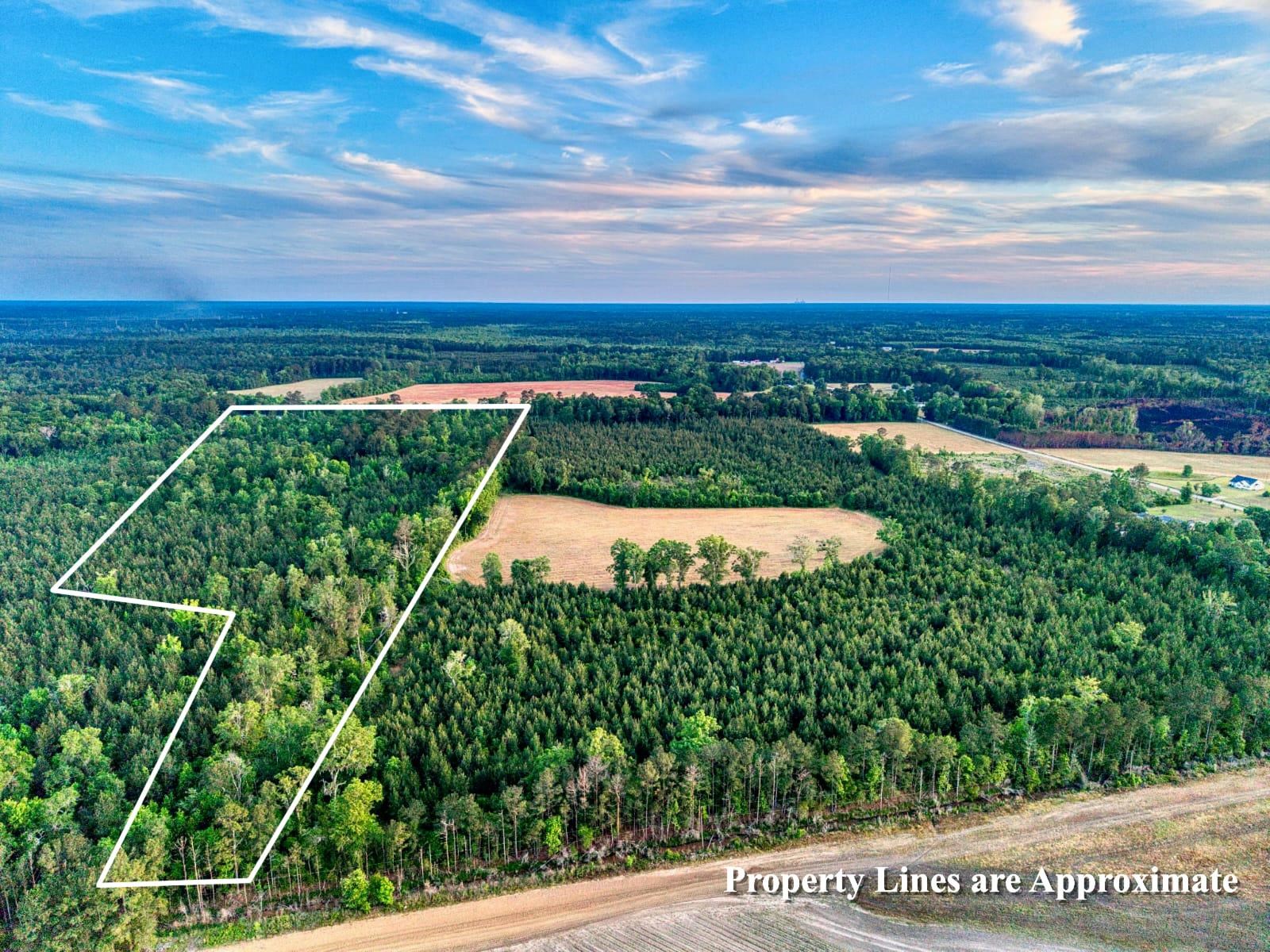 240 Guess Rd. Greeleyville, SC 29056