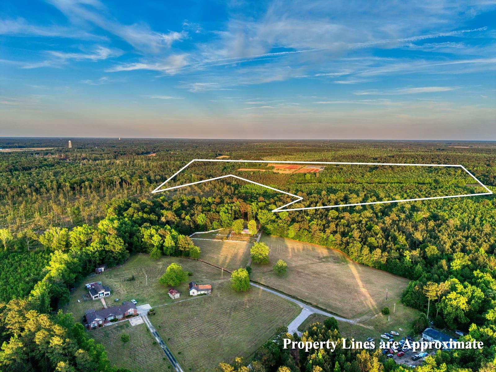 TBD Carroll Rd. Greeleyville, SC 29056