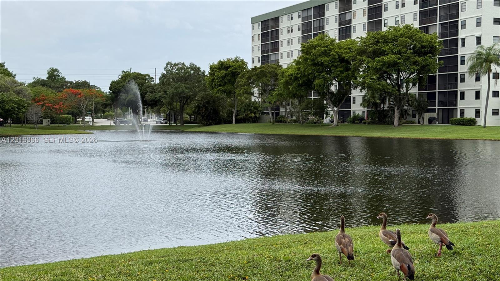 Cypress Bend Condominium