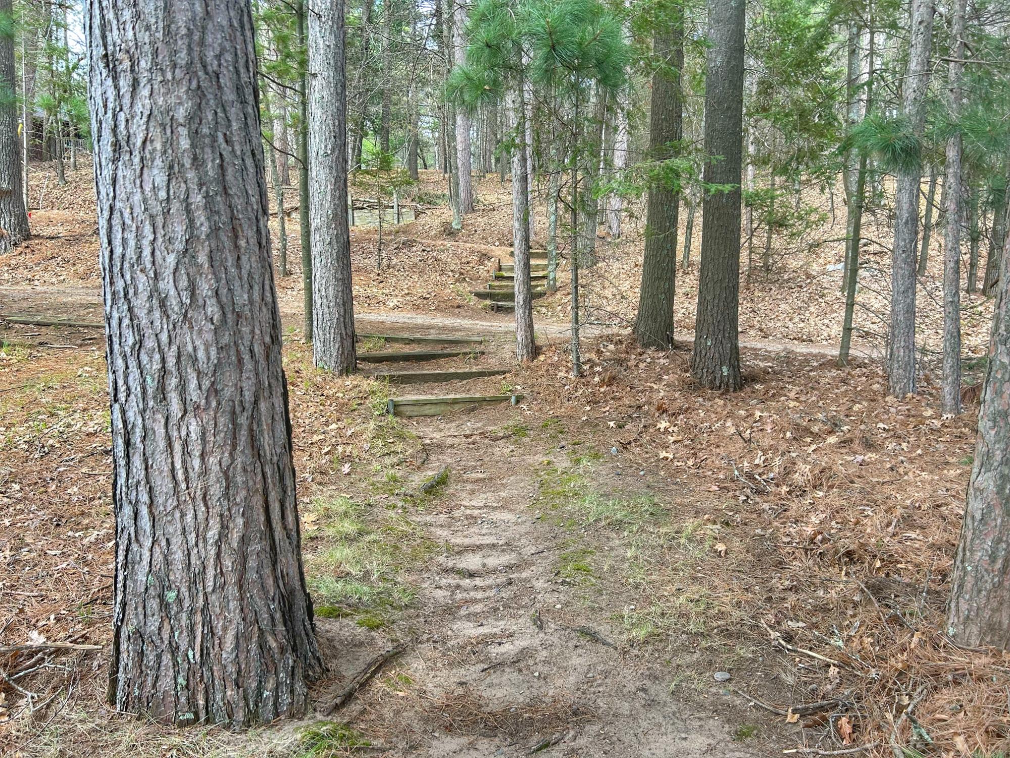 Eagle Lake Property 1870 Timberlands Ln Photo 63