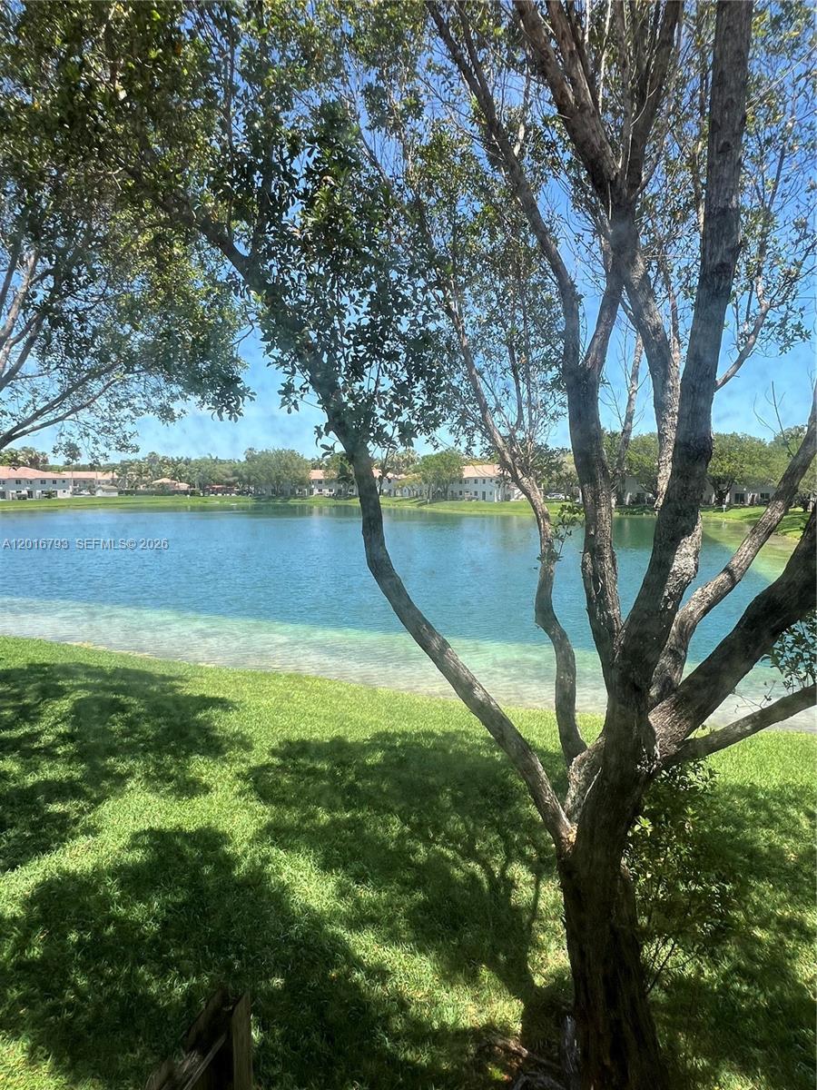 Property photo # 4