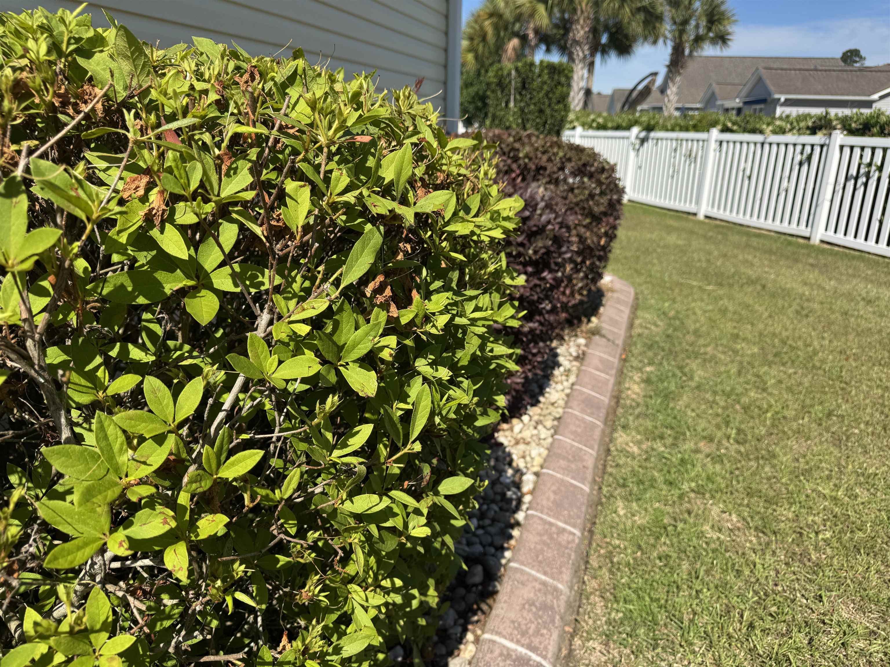 293 Southern Breezes Circle 