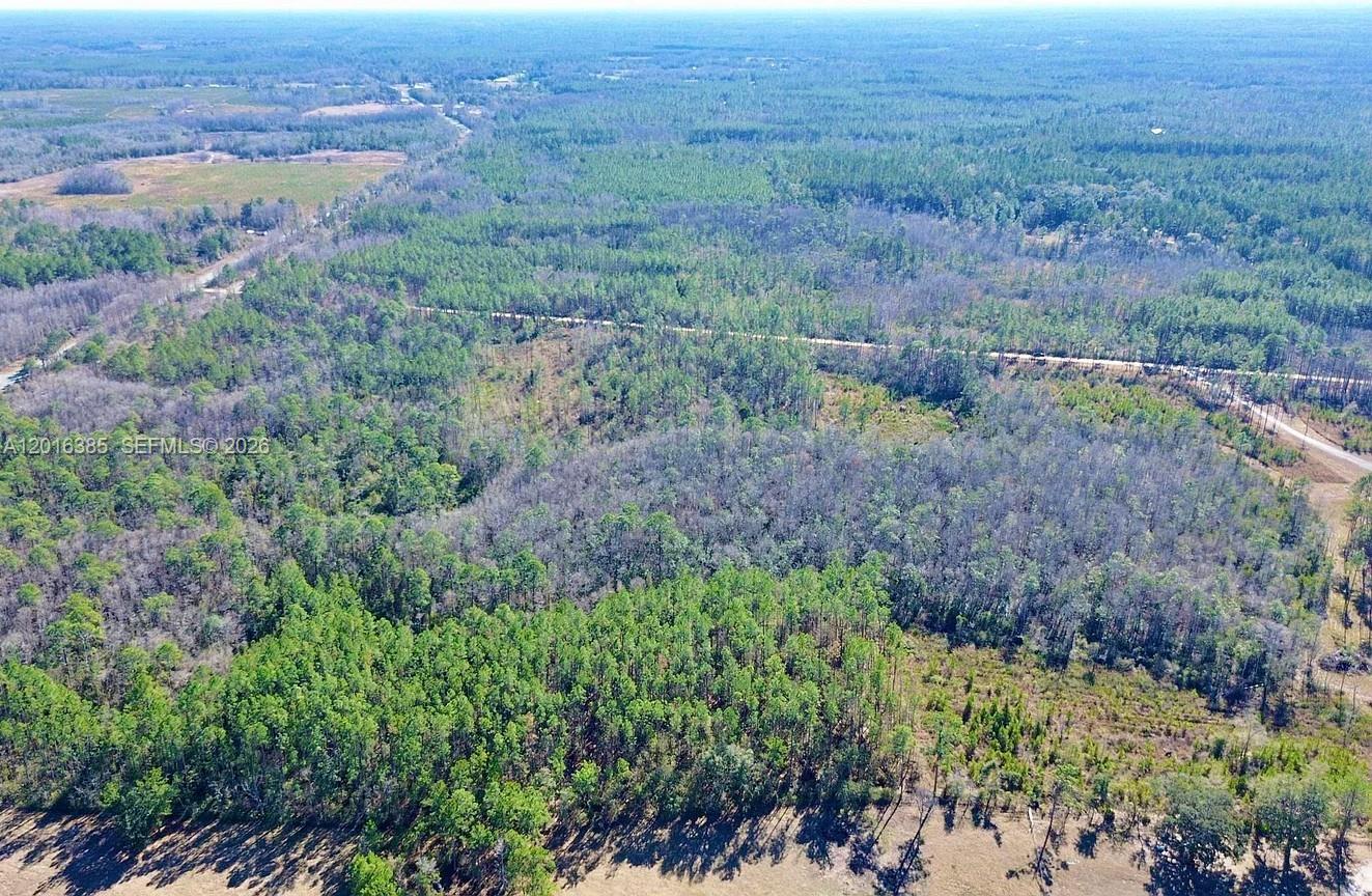 Aucilla Plantation