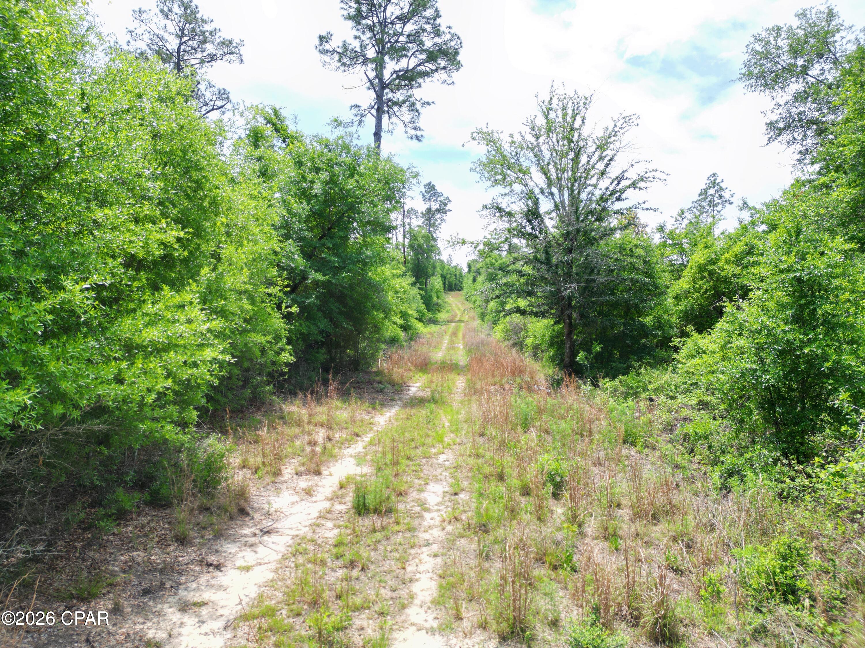 Image 3 For Tbd Pittman Hill Road