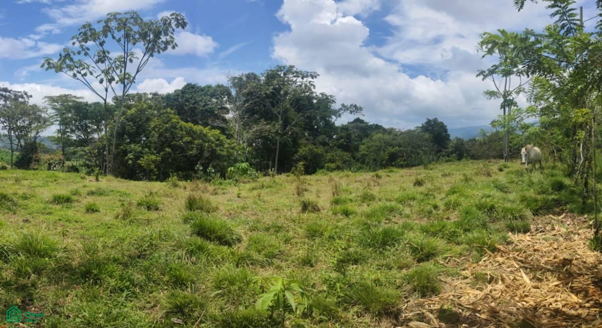 0 bed Land For Sale in Turrialba, Cartago - 1