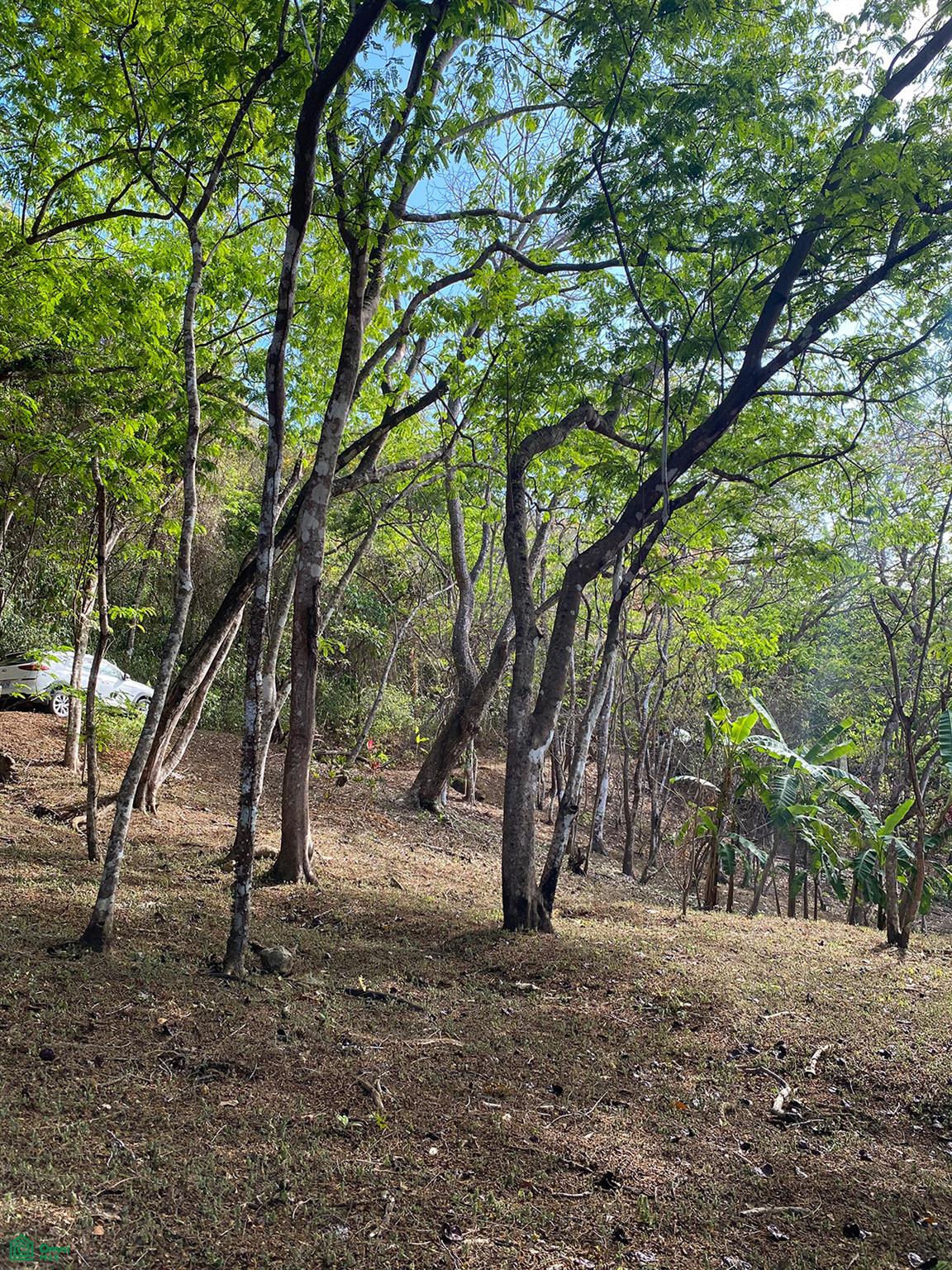 0 bed Single Family Homes For Sale in Puntarenas, Puntarenas - 1