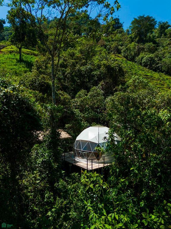 10 bed Single Family Homes For Sale in Turrialba, Cartago - 1