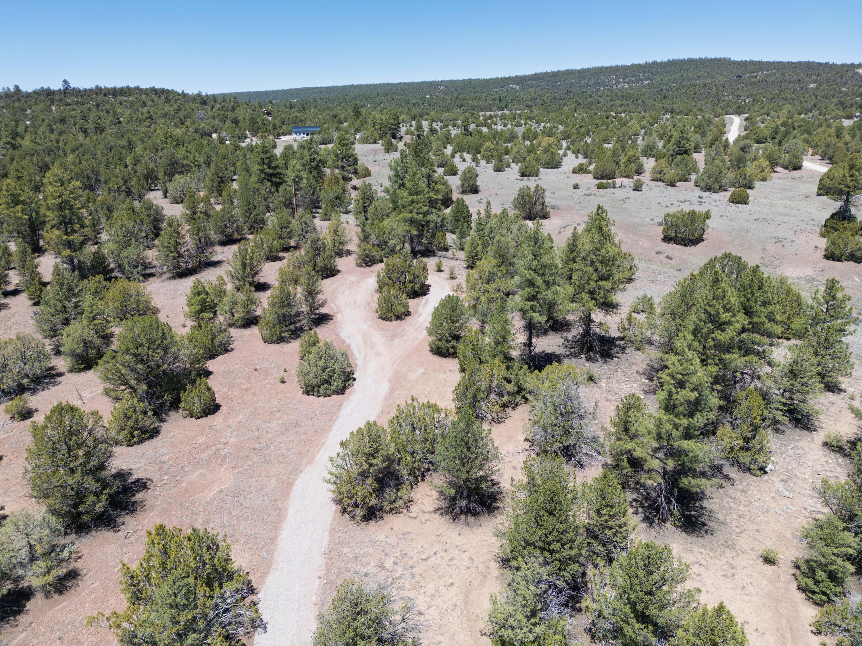 81st image of Lot 17 Buttonwood Dr, Ramah, NM 87321 | MLS# 1103386