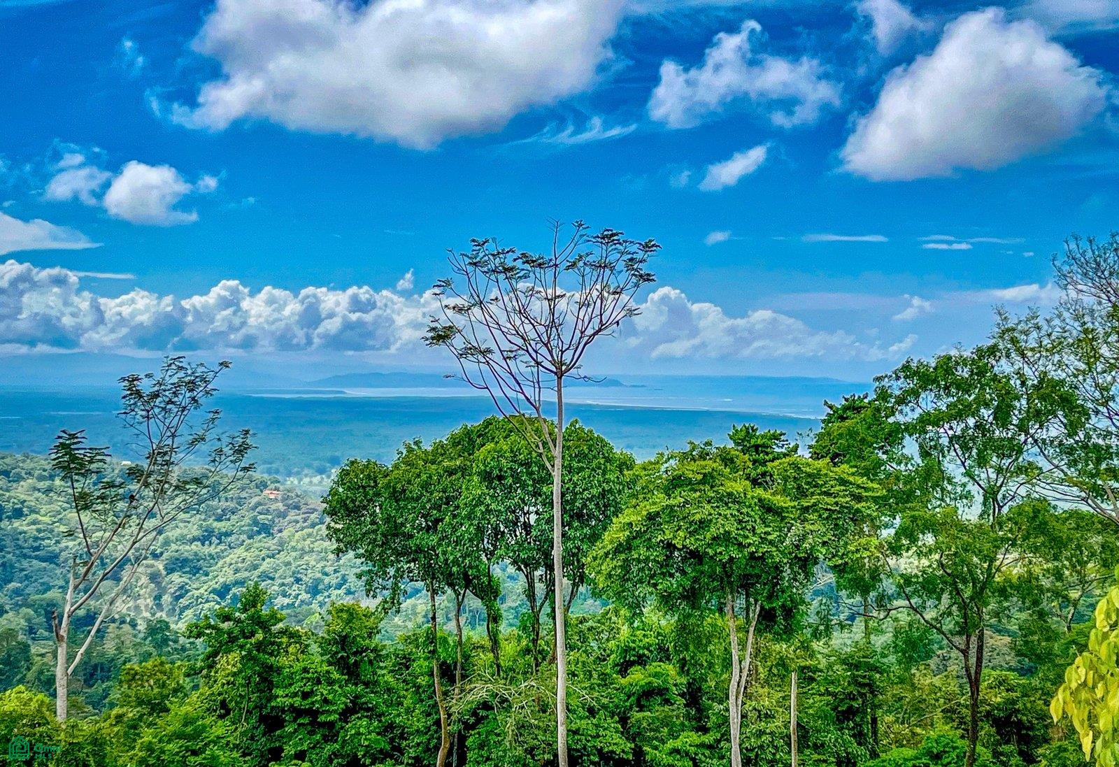  bed Land For Sale in Puntarenas, Puntarenas - 1