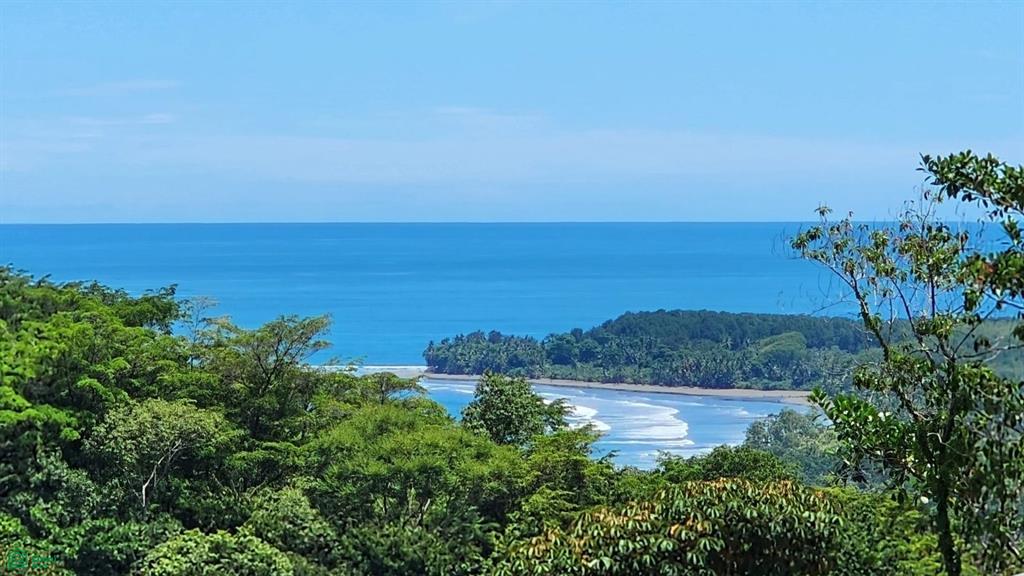  bed Land For Sale in Puntarenas, Puntarenas - 1